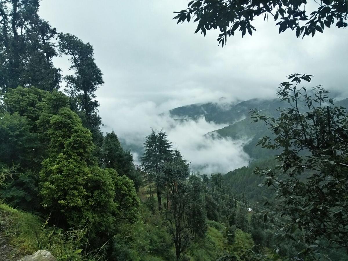 Oyo 11877 Royal Residency Hotel New Tehri Bilik gambar
